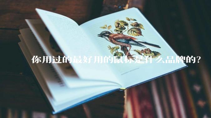 你用过的最好用的鼠标是什么品牌的？